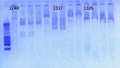 Thumbnail for version as of 16:44, 5 April 2013
