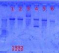 Thumbnail for version as of 13:57, 24 August 2012