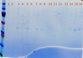 Thumbnail for version as of 12:07, 8 November 2012