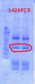 Thumbnail for version as of 14:07, 4 December 2012