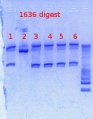 Thumbnail for version as of 14:38, 14 March 2013