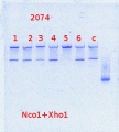 Thumbnail for version as of 15:36, 24 February 2014