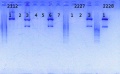 Thumbnail for version as of 14:32, 12 June 2014