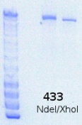 RTENOTITLE