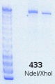 Thumbnail for version as of 13:39, 8 May 2015