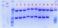 Thumbnail for version as of 16:03, 1 September 2011