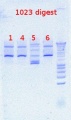 Thumbnail for version as of 15:53, 3 August 2012