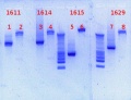 Thumbnail for version as of 12:47, 29 January 2013