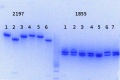 Thumbnail for version as of 16:46, 28 July 2014