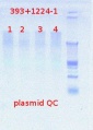 Thumbnail for version as of 13:22, 24 July 2012