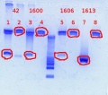 Thumbnail for version as of 12:52, 11 January 2013