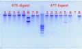 Thumbnail for version as of 16:18, 15 December 2011