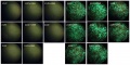 Thumbnail for version as of 13:12, 27 April 2014