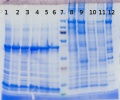 Thumbnail for version as of 18:04, 30 October 2014