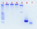 Thumbnail for version as of 16:00, 8 July 2011