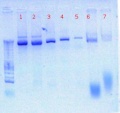 Thumbnail for version as of 12:44, 9 September 2012