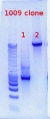 Thumbnail for version as of 14:39, 16 February 2012
