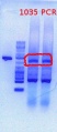 Thumbnail for version as of 10:08, 15 May 2012