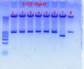 Thumbnail for version as of 13:42, 5 April 2012
