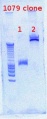 Thumbnail for version as of 13:52, 11 April 2012