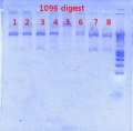 Thumbnail for version as of 10:29, 27 November 2012