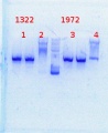 Thumbnail for version as of 11:46, 28 January 2014