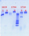 Thumbnail for version as of 13:15, 29 March 2013