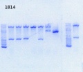 Thumbnail for version as of 12:15, 2 August 2013