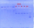 Thumbnail for version as of 14:30, 4 April 2014