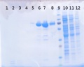 Thumbnail for version as of 10:30, 15 August 2014
