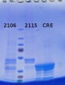 Thumbnail for version as of 15:53, 18 March 2014