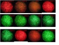 Thumbnail for version as of 08:36, 27 September 2011