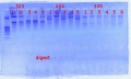 Thumbnail for version as of 14:56, 30 January 2012