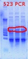 Thumbnail for version as of 13:03, 14 March 2012