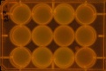 Thumbnail for version as of 11:22, 15 February 2011