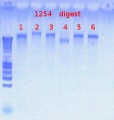 Thumbnail for version as of 14:32, 9 July 2012