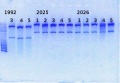 Thumbnail for version as of 14:56, 17 January 2014