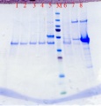 Thumbnail for version as of 10:39, 25 March 2014