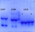 Thumbnail for version as of 13:44, 24 September 2014