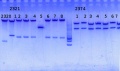 Thumbnail for version as of 16:59, 21 November 2014