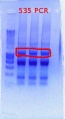 Thumbnail for version as of 14:56, 30 January 2012