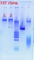 Thumbnail for version as of 16:14, 6 April 2012