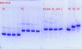 Thumbnail for version as of 23:29, 11 March 2017