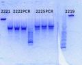 Thumbnail for version as of 11:10, 3 July 2014