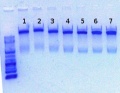 Thumbnail for version as of 16:54, 19 June 2012