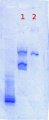 Thumbnail for version as of 14:52, 9 June 2013