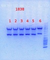 Thumbnail for version as of 13:31, 9 September 2013