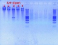 Thumbnail for version as of 15:23, 31 January 2012