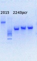 Thumbnail for version as of 11:47, 10 June 2014