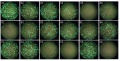 Thumbnail for version as of 12:44, 19 September 2014